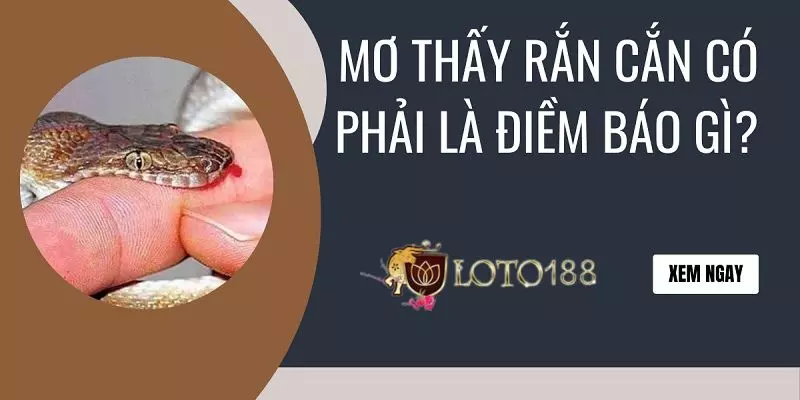 Giải mã chi tiết mơ rắn cắn đánh con gì?